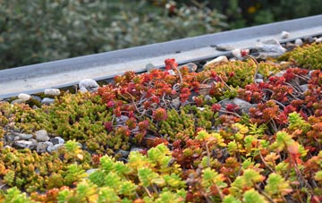 the cost of Shalstone green roof installation