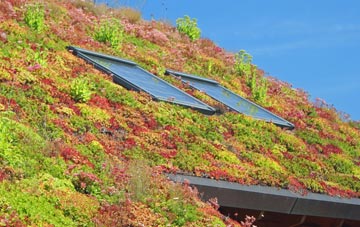 Shalstone living roof systems